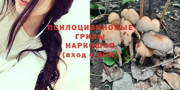 таблы Богородицк