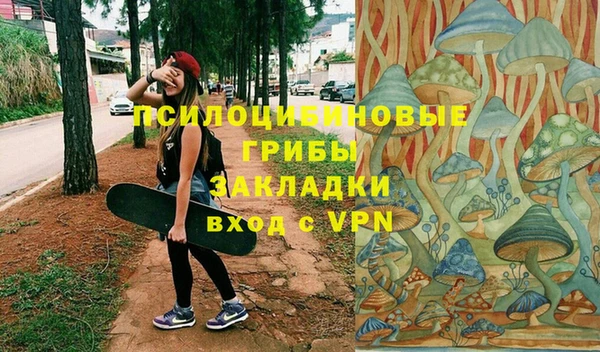метамфетамин Богданович