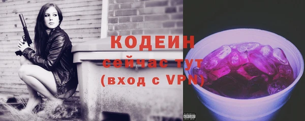 таблы Богородицк