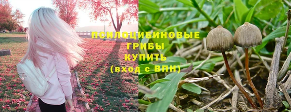 метамфетамин Богданович