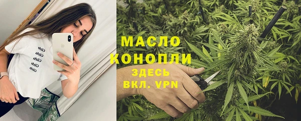 таблы Богородицк