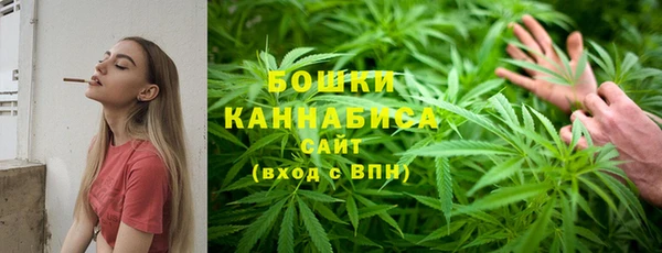 таблы Богородицк